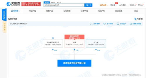 信息系統(tǒng)集成服務(wù)的核心價(jià)值與發(fā)展趨勢